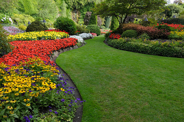 Get Beautiful Landscaping Services